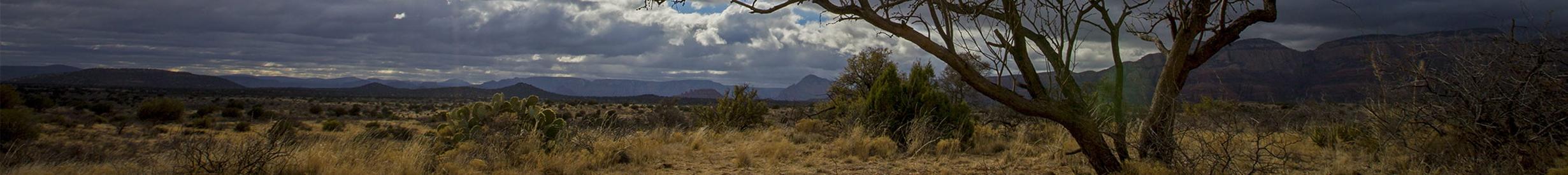 北亚利桑那风景摄影拉里·亨德里克斯